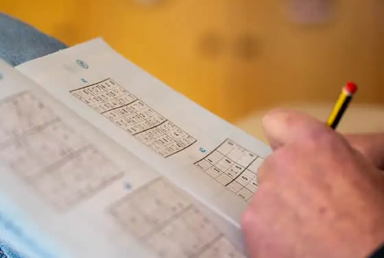 Pemecah Sudoku